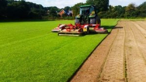 Turf suppliers in Hampshire