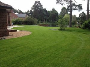 Landscaping in Southampton
